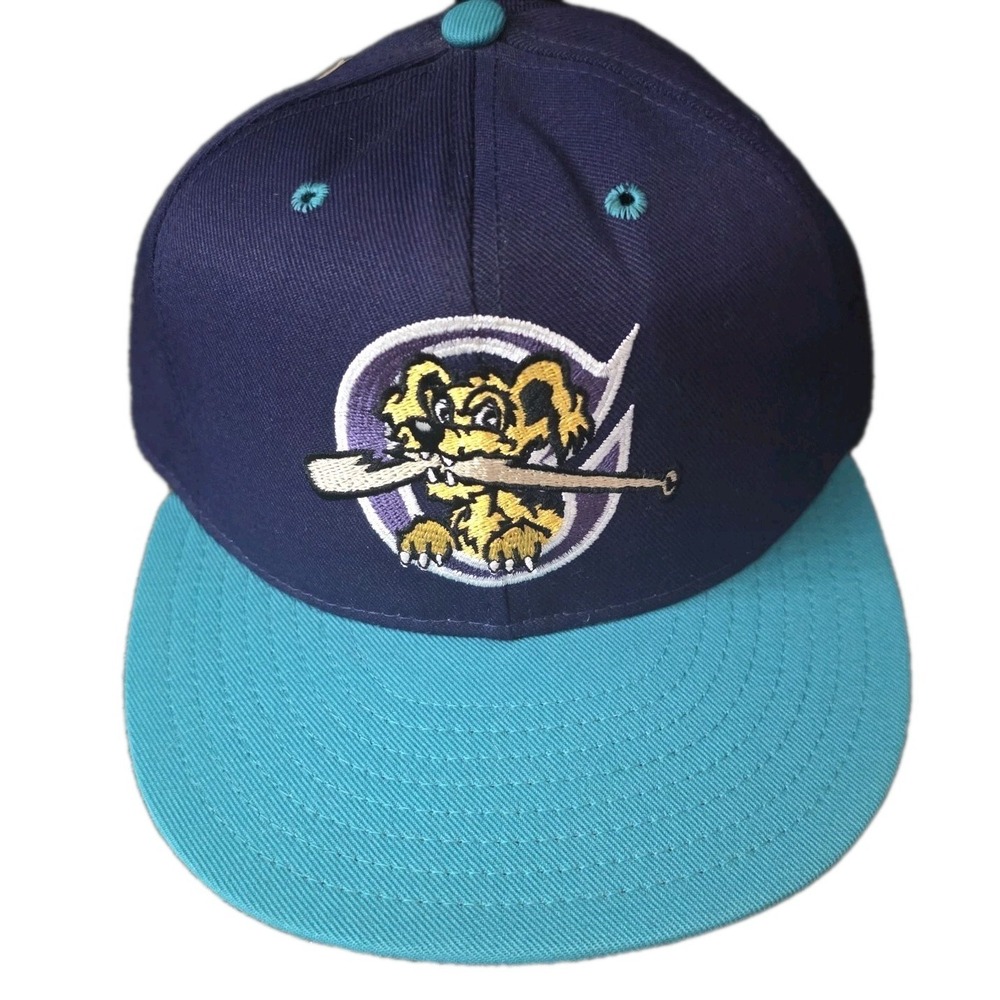 Vintage Charleston RiverDogs Pro-Line Fitted‎ Hat USA 6 7/8 NWT Deadstock MiLB